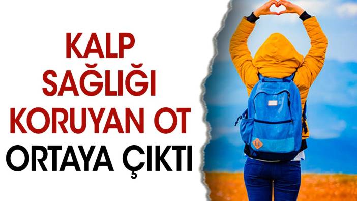 Kalp sağlığı koruyan ot ortaya çıktı