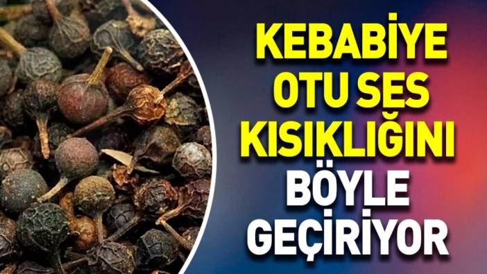 Kebabiye otu ses kısıklığını böyle geçiriyor