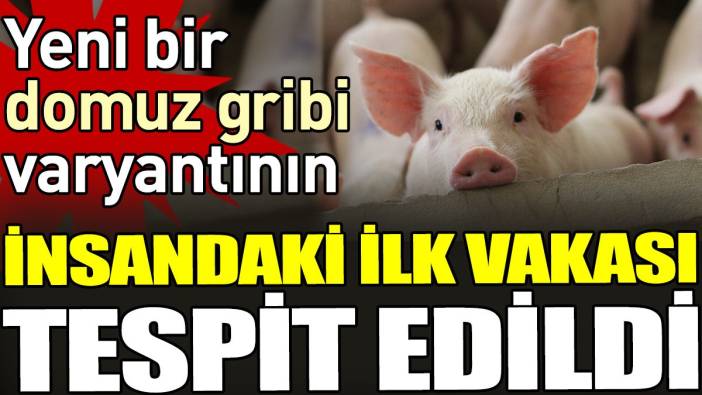 Yeni bir domuz gribi varyantının insandaki ilk vakası tespit edildi