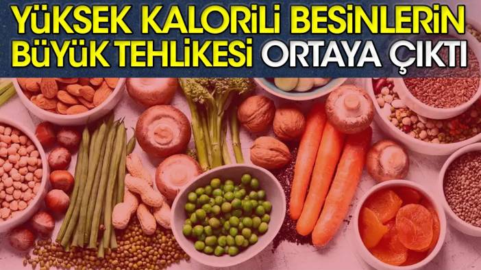 Yüksek kalorili besinlerin büyük tehlikesi ortaya çıktı