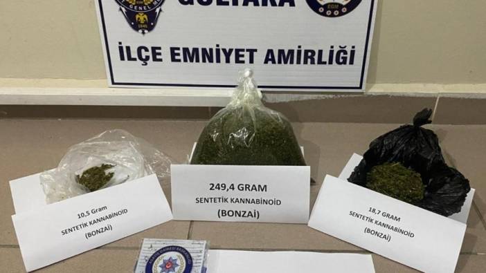 Düzce’de polis çok miktarda bonzai ele geçirdi