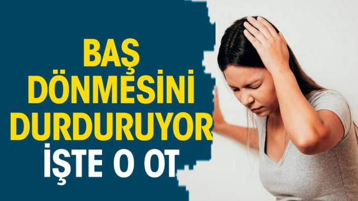 Baş dönmesini durduruyor. İşte o ot