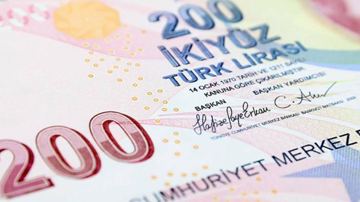 Hafize Gaye Erkan imzalı ilk 200 TL'lik banknotlar piyasada