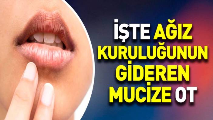 İşte ağız kuruluğunun gideren mucize ot