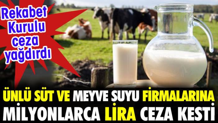 Rekabet kurulu ünlü süt ve meyve suyu firmalarına ceza yağdırdı