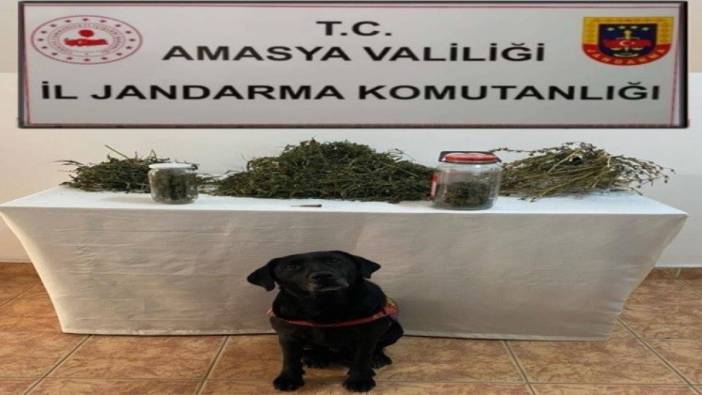 Amasya’da uyuşturucu operasyonunda 2 kişi gözaltına alındı