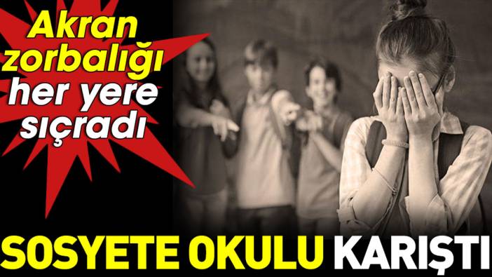 Sosyete okulu karıştı. Akran zorbalığı her yere sıçradı