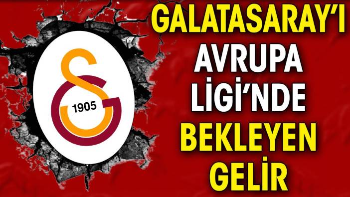 Galatasaray'ı Avrupa Ligi'nde bekleyen para ortaya çıktı