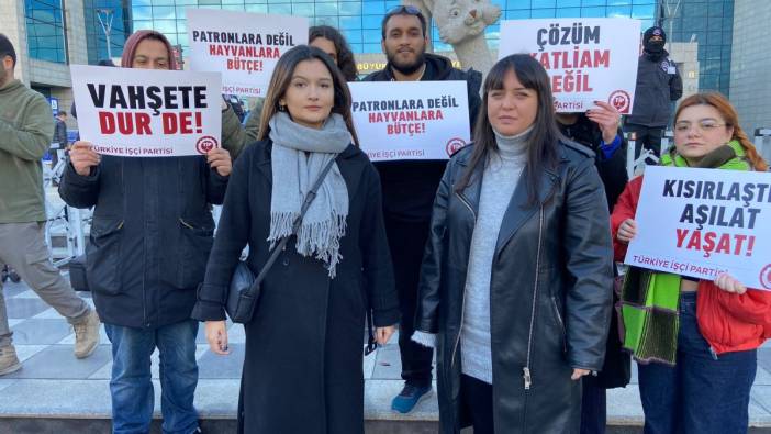 Ankara'da sokak köpeklerinin toplanmasına eylem