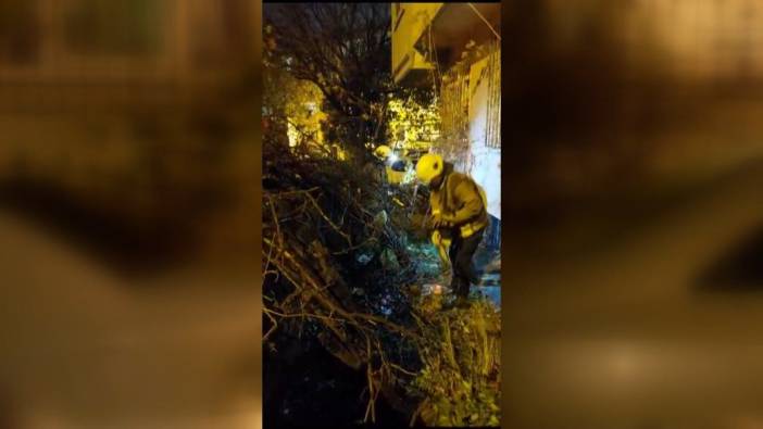 İstanbul’da fırtına faciası. Ağaç otomobilin üzerine devrildi