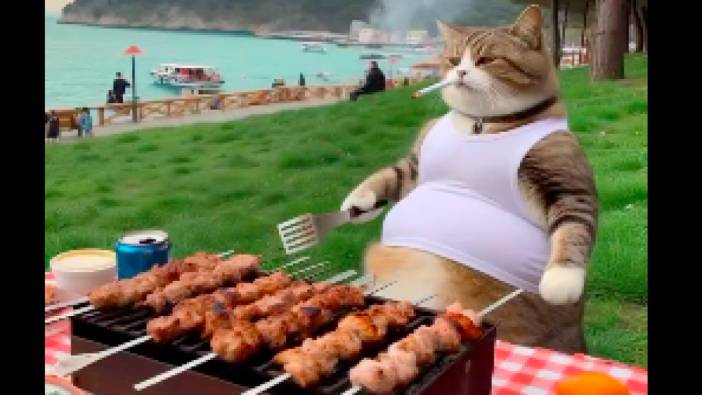 Yapay zeka ile hazırlanan "Türk Kedileri" videosu gündem oldu