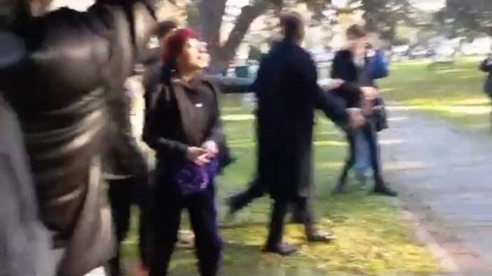 İstanbul Üniversitesi'nde öğrencilere 'yılbaşı ağacı' müdahalesi