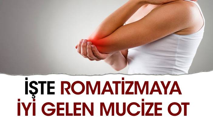 İşte romatizmaya iyi gelen mucize ot