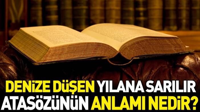 Denize düşen yılana sarılır atasözünün anlamı nedir?