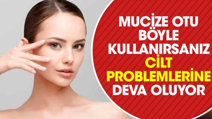 Mucize otu böyle kullanırsanız cilt problemlerine deva oluyor