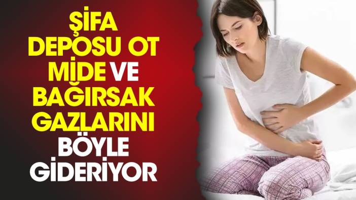 Şifa deposu ot mide ve bağırsak gazlarını böyle gideriyor