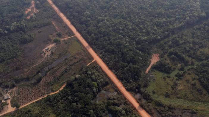 Brezilya'daki Amazon ormanlarına otoyol tehdidi