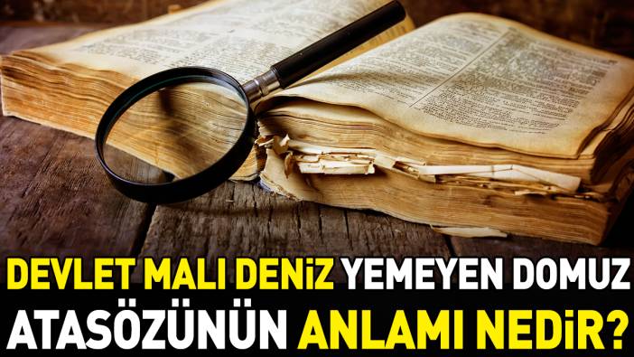 Devlet malı deniz yemeyen domuz atasözünün anlamı nedir?