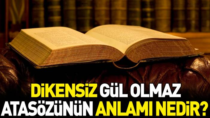 Dikensiz gül olmaz atasözünün anlamı nedir?