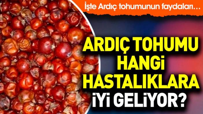 Ardıç tohumu hangi hastalıklara iyi geliyor? İşte Ardıç tohumunun faydaları…