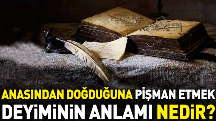 Anasından doğduğuna pişman etmek deyimi ne anlama geliyor?