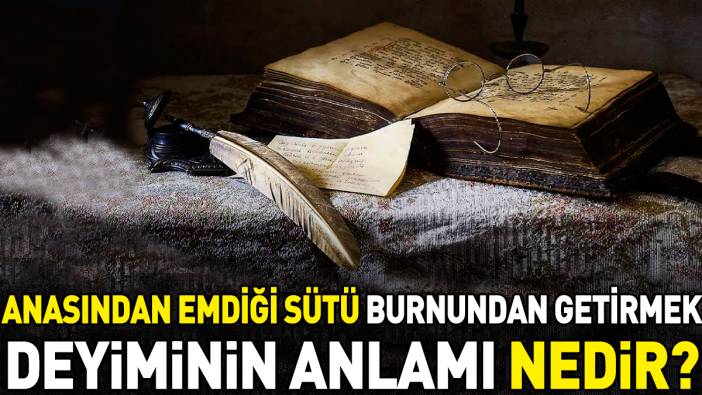 Anasından emdiği sütü burnundan getirmek deyimi ne anlama geliyor?