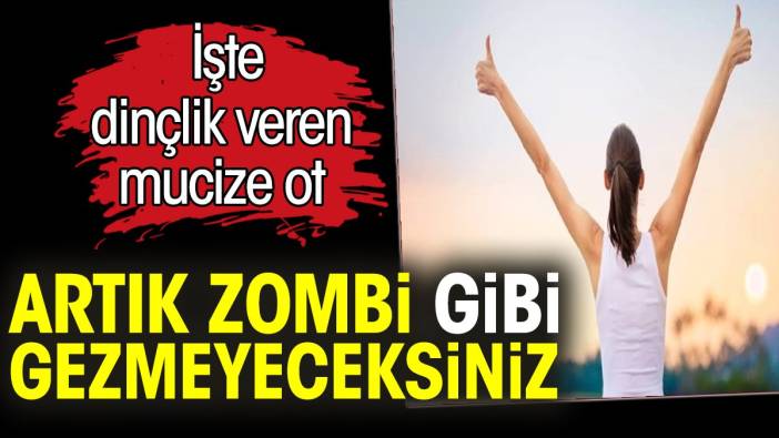 Artık zombi gibi gezmeyeceksiniz. İşte dinçlik veren mucize ot