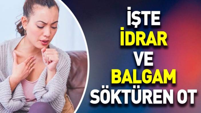 İşte idrar ve balgam söktüren ot