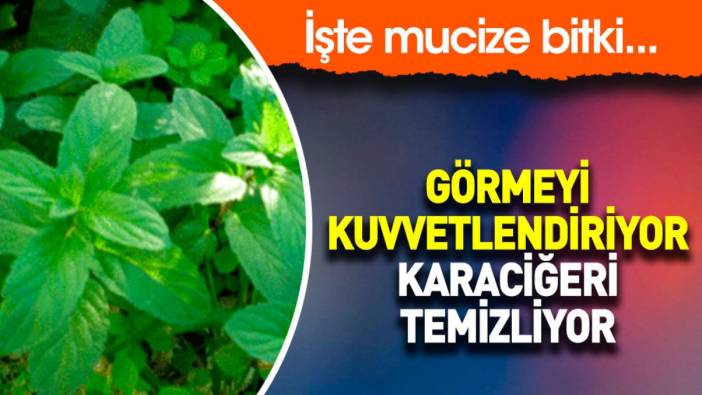 Görmeyi kuvvetlendiriyor. Karaciğeri temizliyor. İşte mucize bitki...