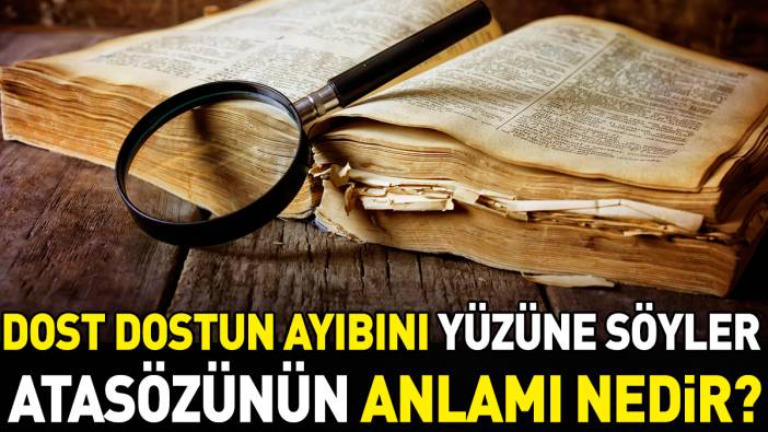 Dost dostun ayıbını yüzüne söyler atasözünün anlamı nedir?