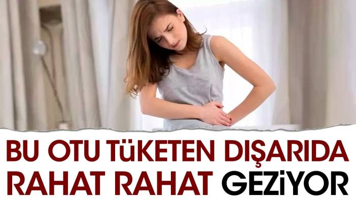 Bu otu tüketen dışarıda rahat rahat geziyor