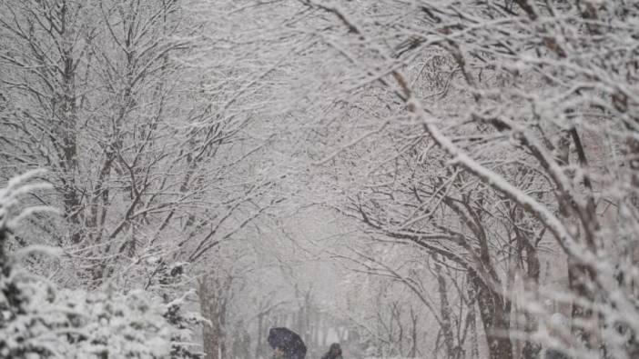 Güney Kore'de son 40 yılın en şiddetli kar yağışı kaydedildi