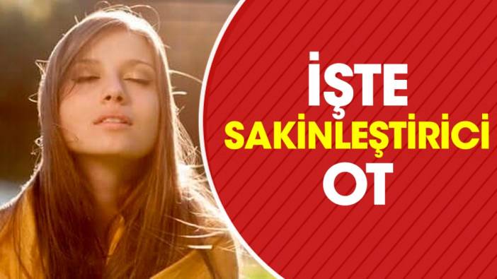 İşte sakinleştirici ot