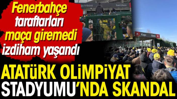Fenerbahçe'nin galibiyetine gölge düştü! Olimpiyat'ta büyük skandal