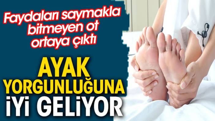 Ayak yorgunluğuna iyi geliyor. Faydaları saymakla bitmeyen ot ortaya çıktı