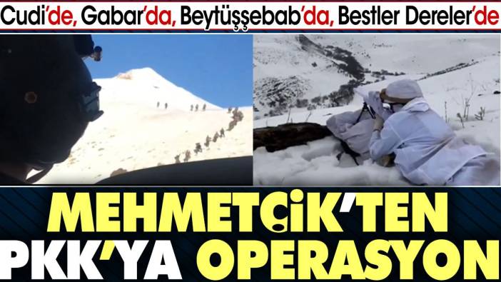 Mehmetçik'ten PKK'ya Cudi Gabar Beytüşşebap ve Bestler Dereler bölgesinde operasyon