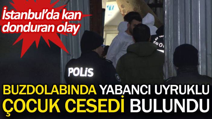 Buzdolabında yabancı uyruklu çocuk cesedi bulundu. İstanbul'da kan donduran olay