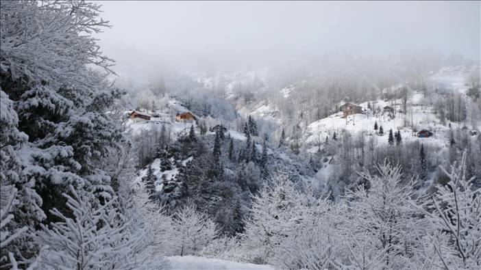 Rize eksi 22,5 derece ile dondu. Türkiye'nin en soğuk yeri oldu