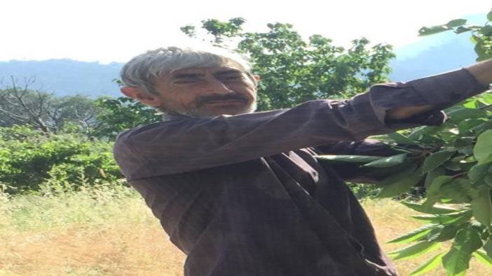 Kestiği ağacın altına kalan talihsiz çiftçi hayatını kaybetti