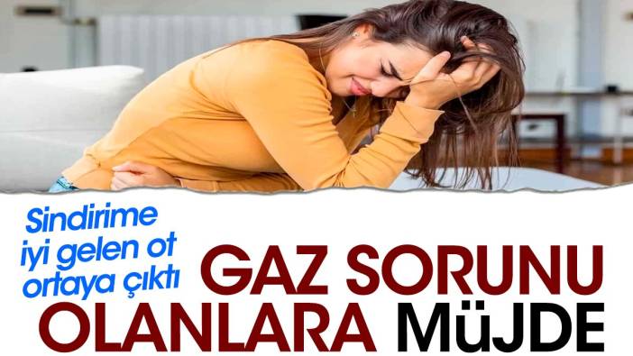 Gaz sorunu olanlara müjde. Sindirime iyi gelen ot ortaya çıktı