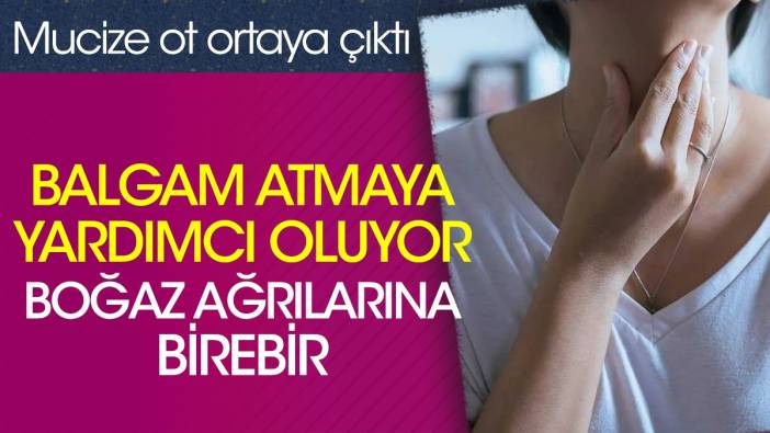 Balgam atmaya yardımcı oluyor. Boğaz ağrılarına birebir. Mucize ot ortaya çıktı