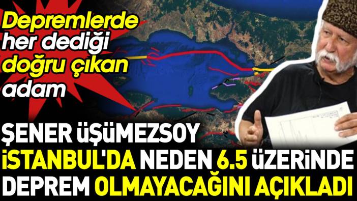 Şener Üşümezsoy İstanbul'da neden 6.5 üzerinde deprem olmayacağını açıkladı