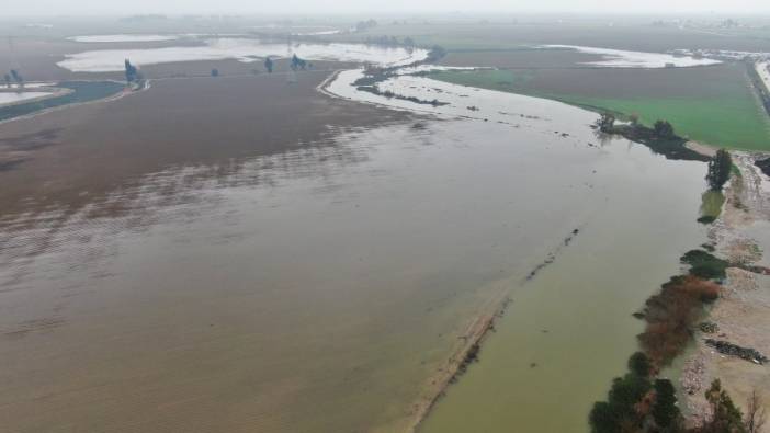 Asi Nehri'nde tarım arazileri sular altında kaldı