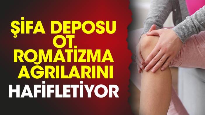 Şifa deposu ot romatizma ağrılarını hafifletiyor