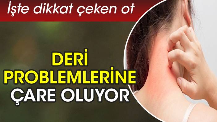 Deri problemlerine çare oluyor. İşte dikkat çeken ot