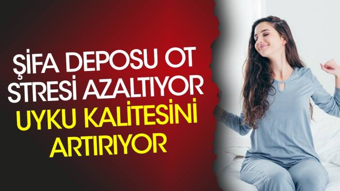 Şifa deposu ot stresi azaltıyor uyku kalitesini artırıyor