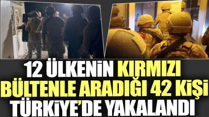 12 ülkenin kırmızı bültenle aradığı 42 kişi Türkiye'de yakalandı