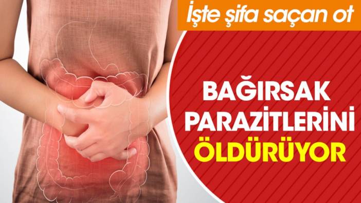 Bağırsak parazitlerini öldürüyor. İşte şifa saçan ot