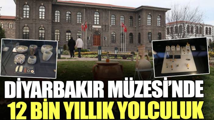 Diyarbakır Müzesi’nde 12 bin yıllık yolculuk