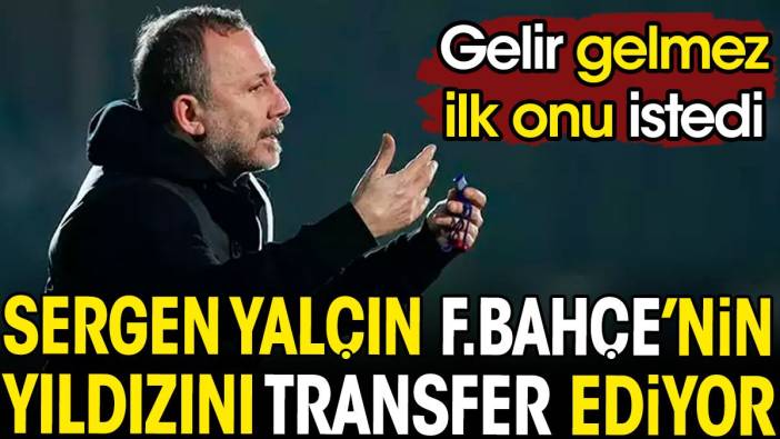 Sergen Yalçın Fenerbahçe'nin yıldızını transfer ediyor
